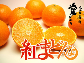 愛媛産 ”紅まどんな”@.jpg