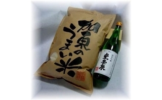 東条きぬひかり.jpg